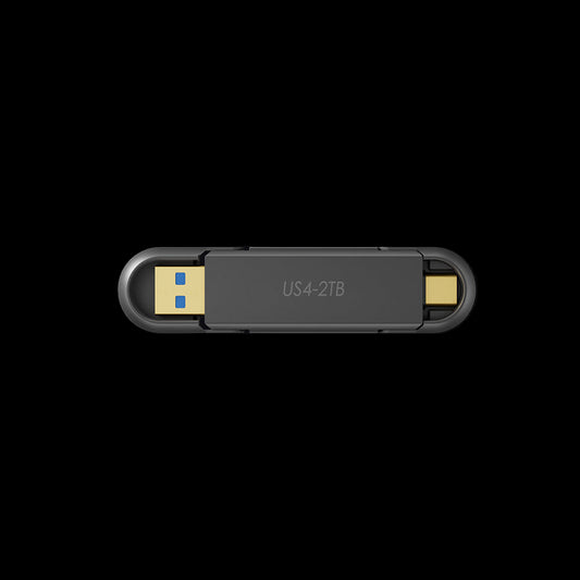 Flash memory chips