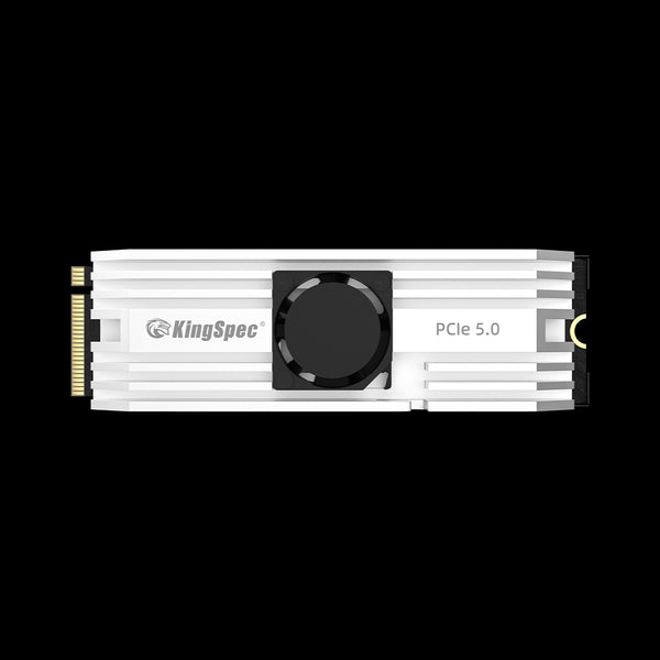 VP101 series M.2 NVMe 2280 PCIe 5.0 SSD with Heatsink