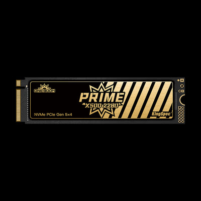 KingSpec X500 series M.2 NVMe PCIe 5.0 SSD